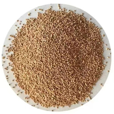 Walnut shell abrasive for sandblasting walnut shell cushion filling material Fruit shell abrasive polishing abrasive