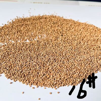 4# 6# 8# Premium Walnut Shells for Exfoliation & Cleaning Walnut Shell for Blasting